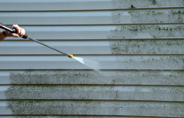 Best Affordable Pressure Washing  in Bellevue, WA