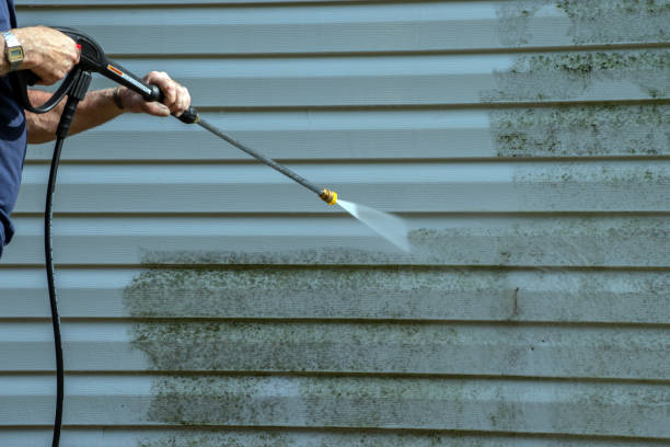Why Choose Our Certified Pressure Washing Experts for Your Project Needs in Bellevue, WA?