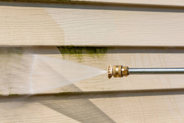 Best Roof Power Washing Services  in Bellevue, WA